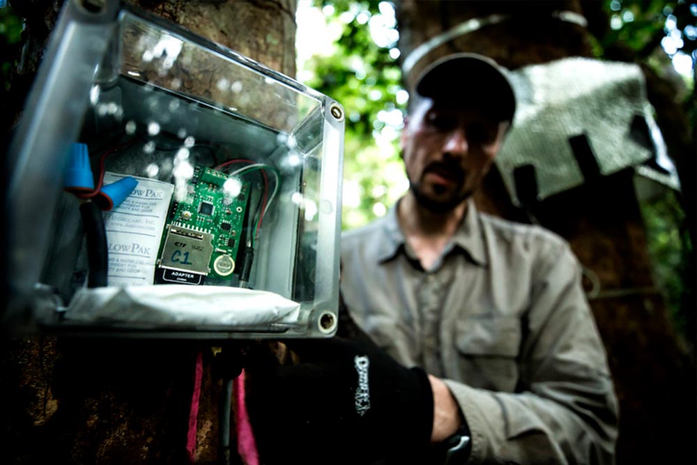 circuit board inside protective plexiglass box, anchored to a tree